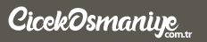 osmaniye ieki