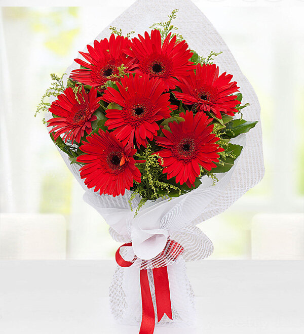 Krmz Gerbera Buketi